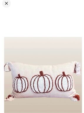 🆕- Shabby Chic Embroidered Pumpkin Trio
Neutral Fall Pillow.